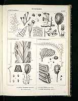  no thumbnail available