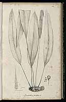  no thumbnail available