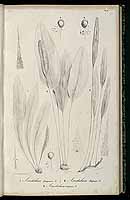  no thumbnail available