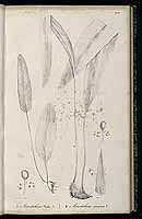  no thumbnail available