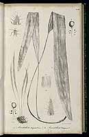  no thumbnail available