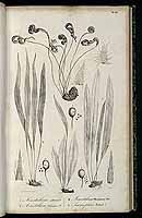  no thumbnail available