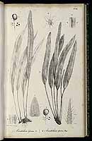  no thumbnail available