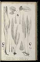  no thumbnail available