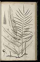  no thumbnail available