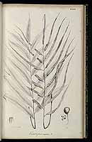  no thumbnail available