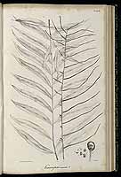  no thumbnail available