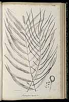  no thumbnail available