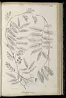  no thumbnail available