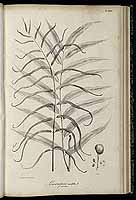  no thumbnail available