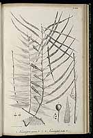  no thumbnail available