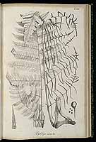  no thumbnail available