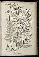  no thumbnail available