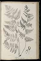  no thumbnail available