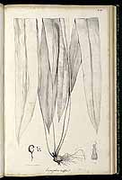  no thumbnail available