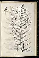  no thumbnail available