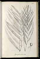  no thumbnail available