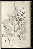  no thumbnail available