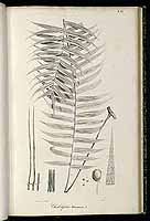  no thumbnail available