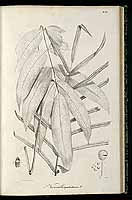  no thumbnail available