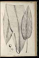  no thumbnail available