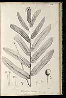  no thumbnail available