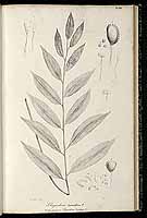  no thumbnail available