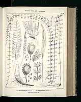  no thumbnail available