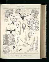  no thumbnail available