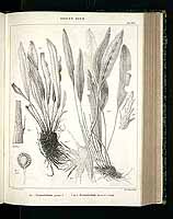  no thumbnail available