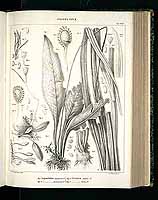  no thumbnail available