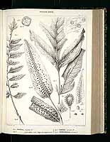  no thumbnail available