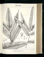  no thumbnail available