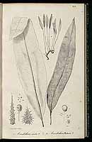  no thumbnail available