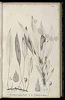  no thumbnail available