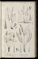  no thumbnail available