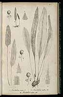  no thumbnail available