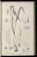  no thumbnail available