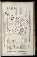  no thumbnail available