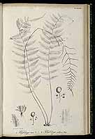  no thumbnail available