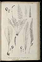  no thumbnail available