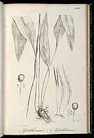  no thumbnail available