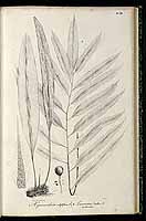  no thumbnail available