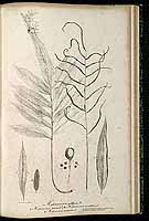  no thumbnail available