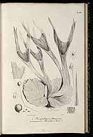  no thumbnail available