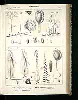  no thumbnail available