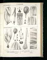  no thumbnail available