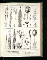  no thumbnail available