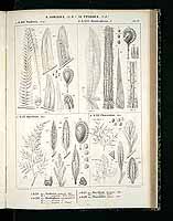  no thumbnail available