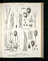  no thumbnail available